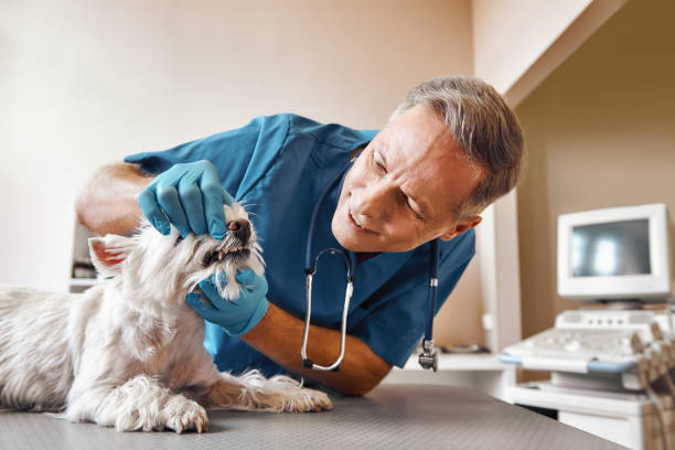 Best Emergency Dental Extractions in Broadway, NC